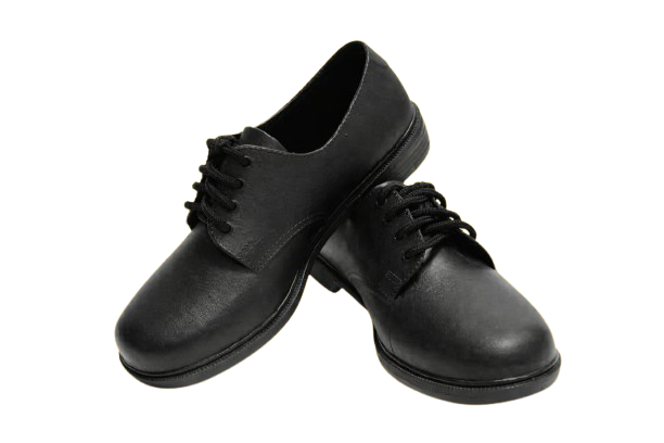 IMG-20260126-WA0084-removebg-preview IMG-20260126-WA0084-removebg-preview