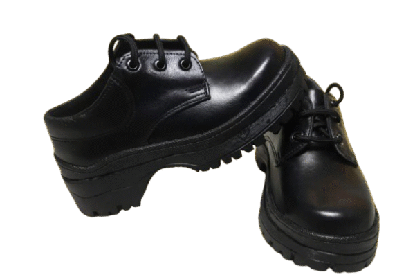 Paradox Custom Orders