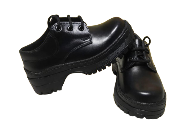 IMG-20260126-WA0090-removebg-preview IMG-20260126-WA0090-removebg-preview